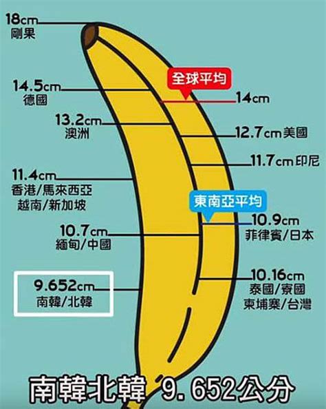 男生的下體|人類陰莖